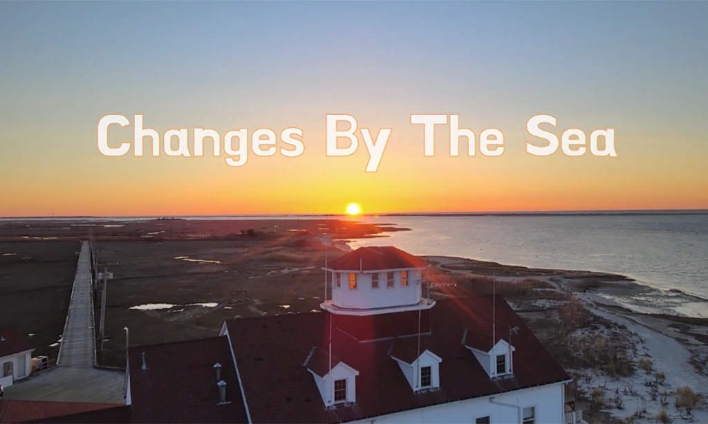 Read more about the article Changes by the sea: What we can learn from estuaries